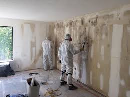 Best Mold Removal for HVAC Installations  in Brisbane, CA